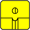 Seed